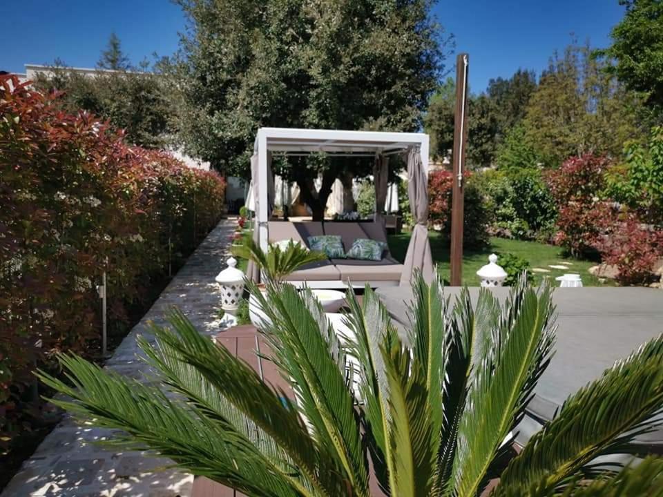 Le Lamie di Olimpe Apulia Dream B&B المظهر الخارجي الصورة